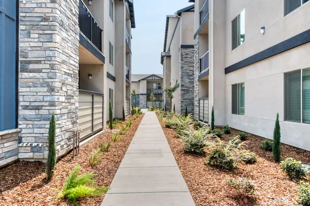 Landscaped walkway between buildings