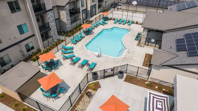Aerial view of the pool, lounge chairs and umbrellas